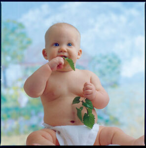 Bringing Baby Home Image